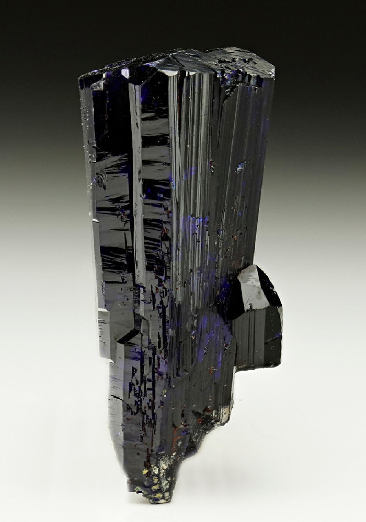 CC6142 specimen image