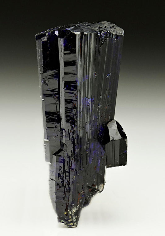 CC6142 specimen image