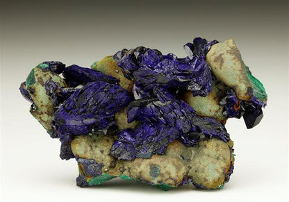 CC6144 specimen image