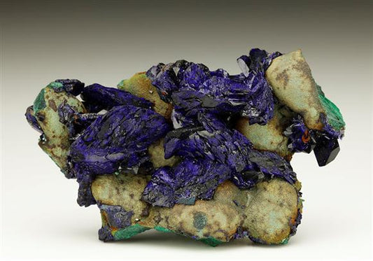 CC6144 specimen image