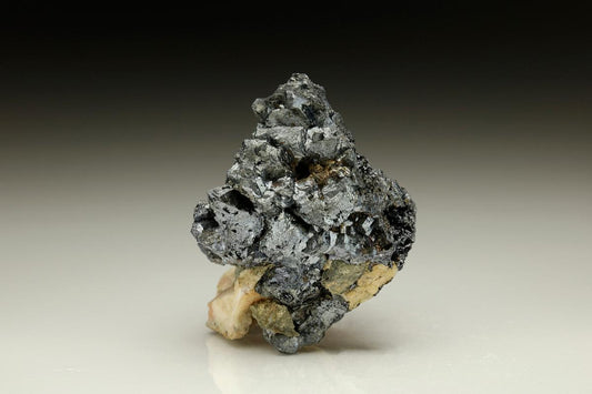 CC6150 specimen image
