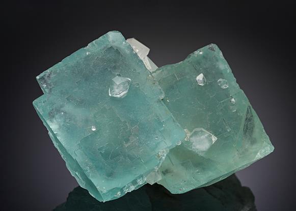 CC61527 specimen image