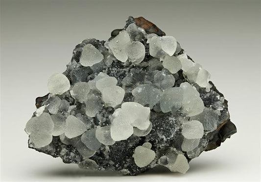 CC6178 specimen image