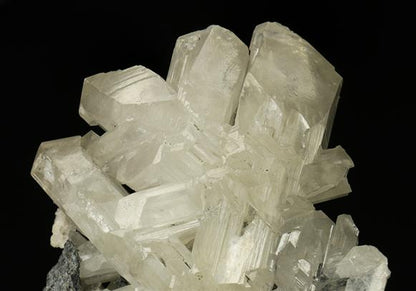 CC6180 specimen image