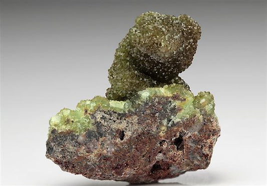 CC6205 specimen image