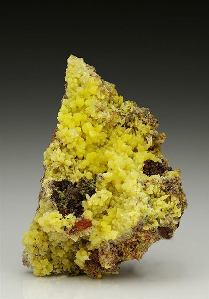CC6210 specimen image