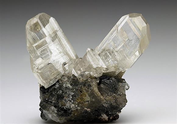 CC6212 specimen image