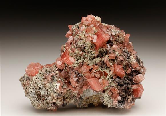 CC6228 specimen image