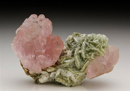 CC6231 specimen image
