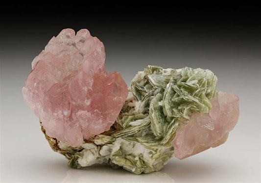 CC6231 specimen image