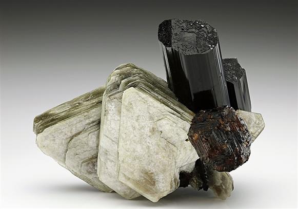 CC6243 specimen image