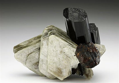CC6243 specimen image