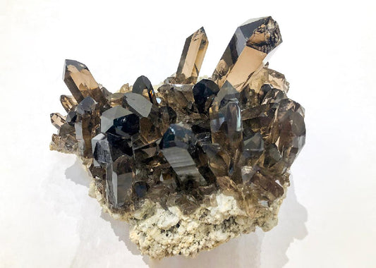 CC62487 specimen image