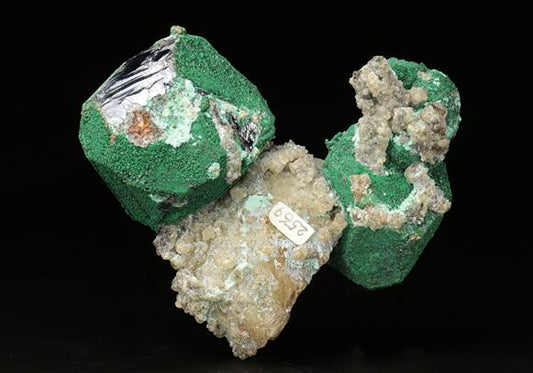 CC6261 specimen image