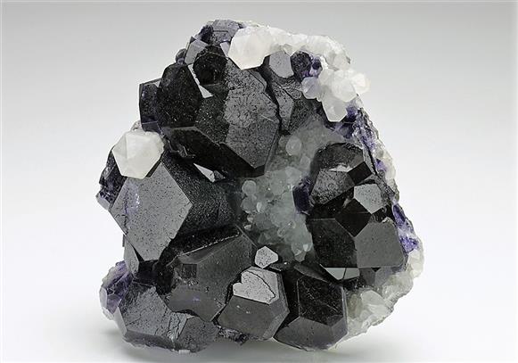 CC6268 specimen image