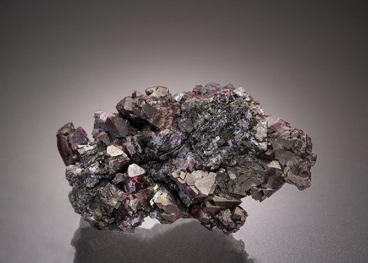 CC6277 specimen image