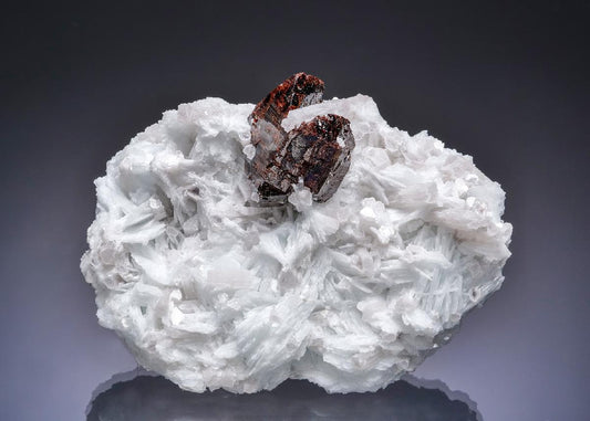 CC63030 specimen image