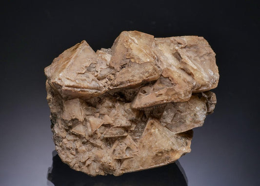 CC63036 specimen image