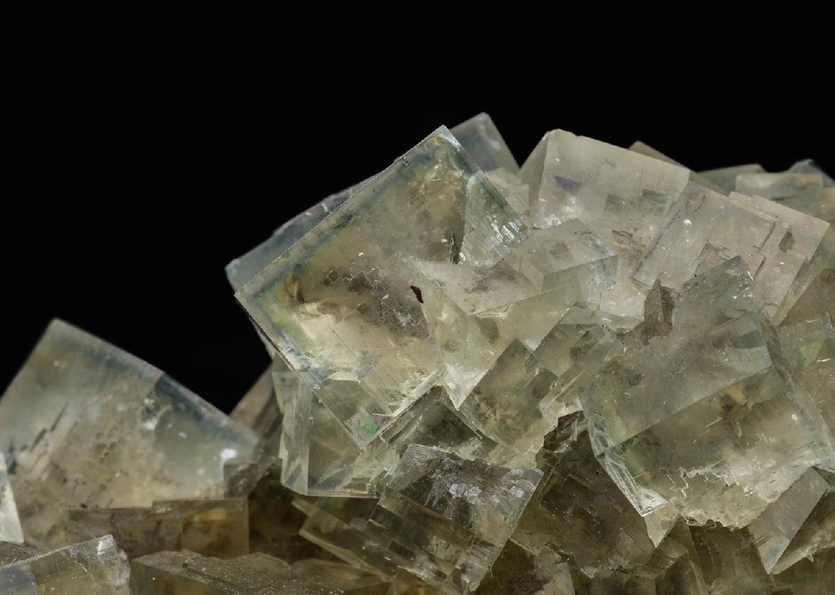 CC6304 specimen image