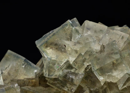 CC6304 specimen image