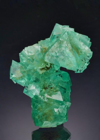 CC63084 specimen image