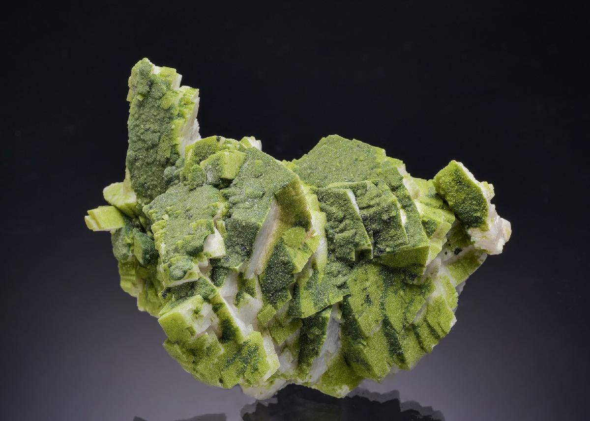 CC63099 specimen image