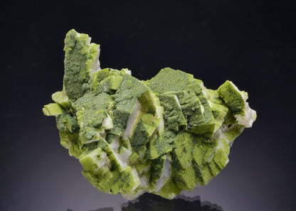 CC63099 specimen image