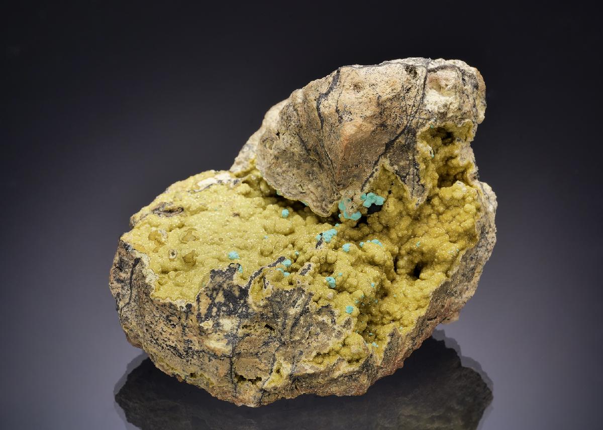 CC63105 specimen image