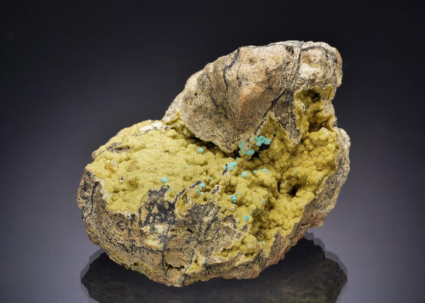 CC63105 specimen image