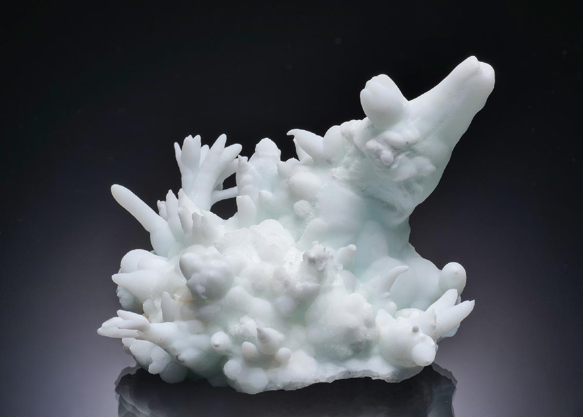 CC63129 specimen image