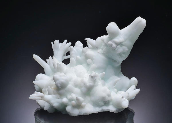 CC63129 specimen image