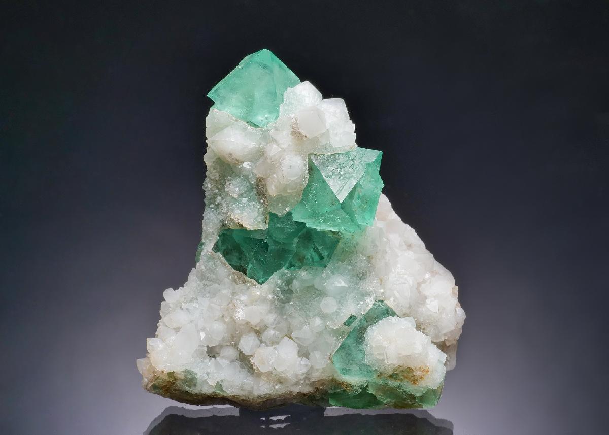 CC63132 specimen image