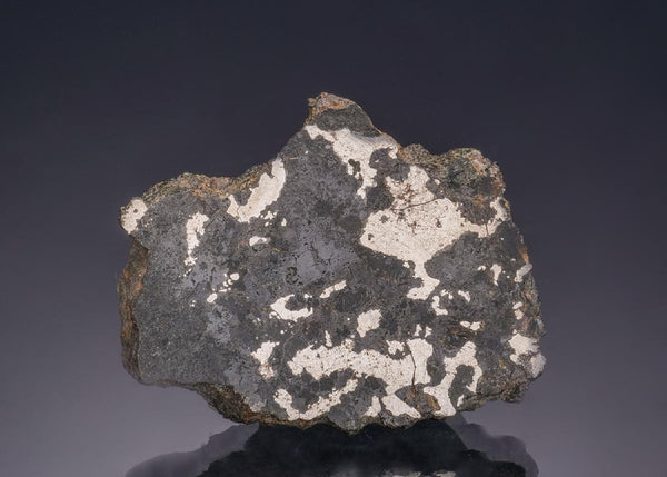 CC63171 specimen image