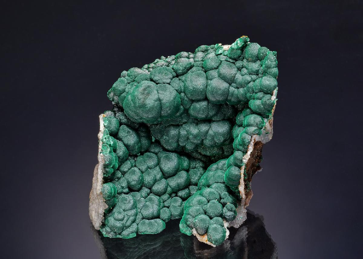 CC63186 specimen image