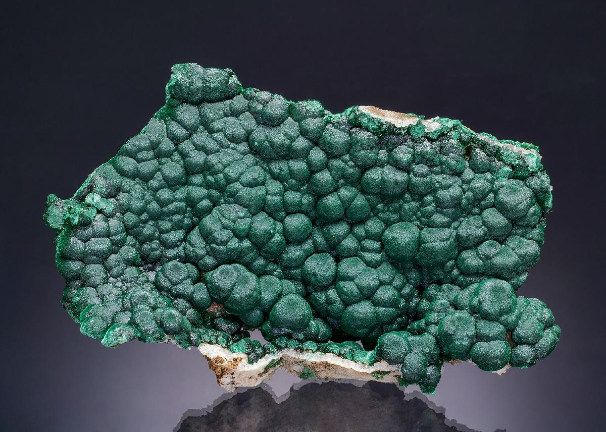 CC63195 specimen image