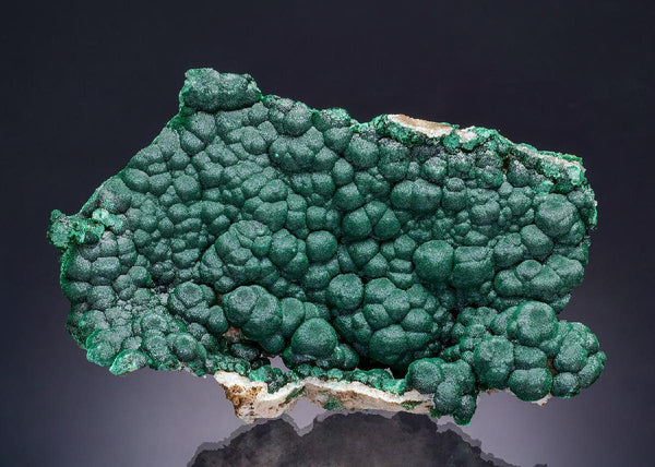 CC63195 specimen image