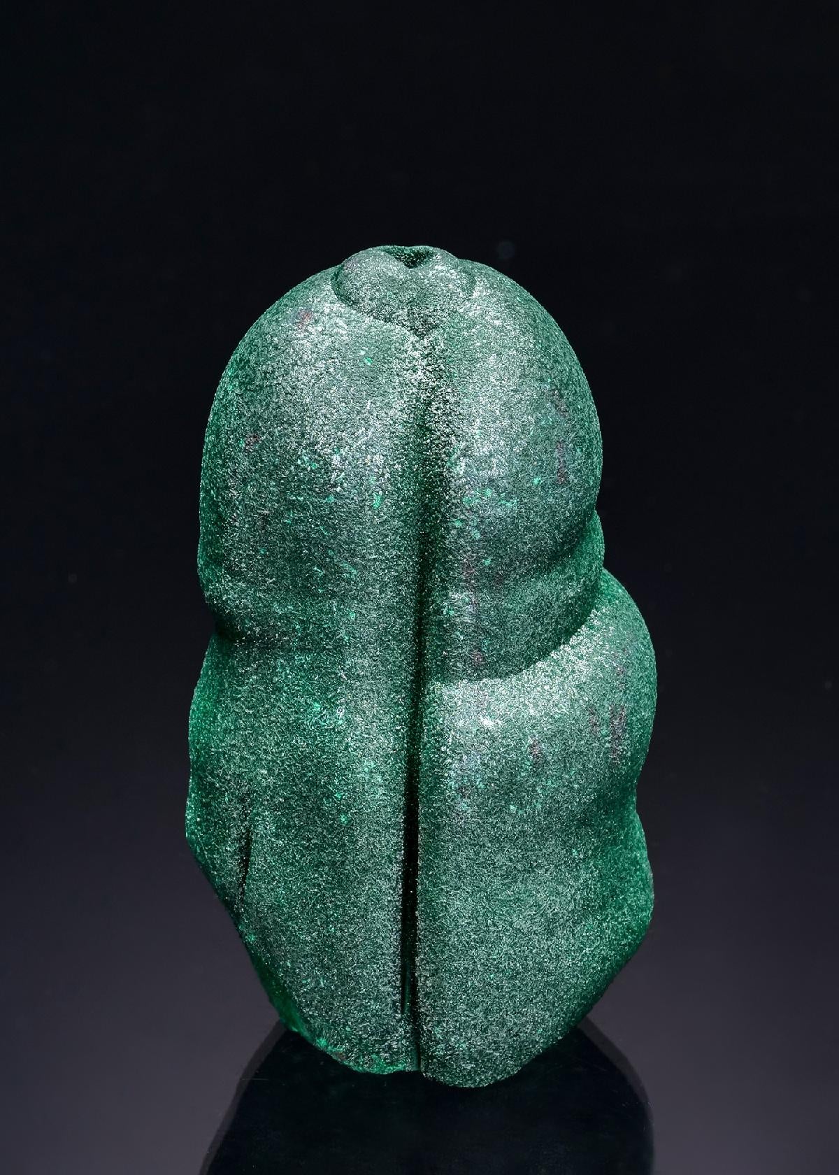 CC63207 specimen image