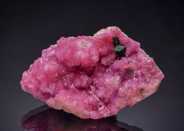 CC63240 specimen image