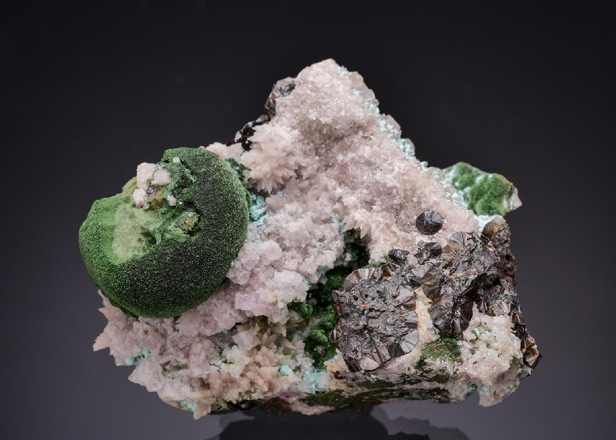 CC63267 specimen image