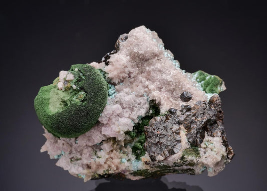 CC63267 specimen image