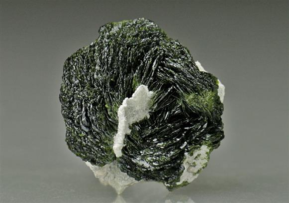 CC6327 specimen image