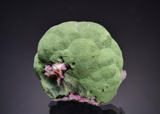 CC63273 specimen image
