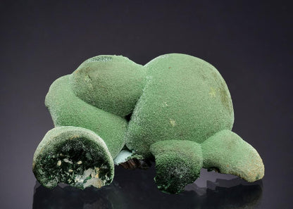 CC63276 specimen image