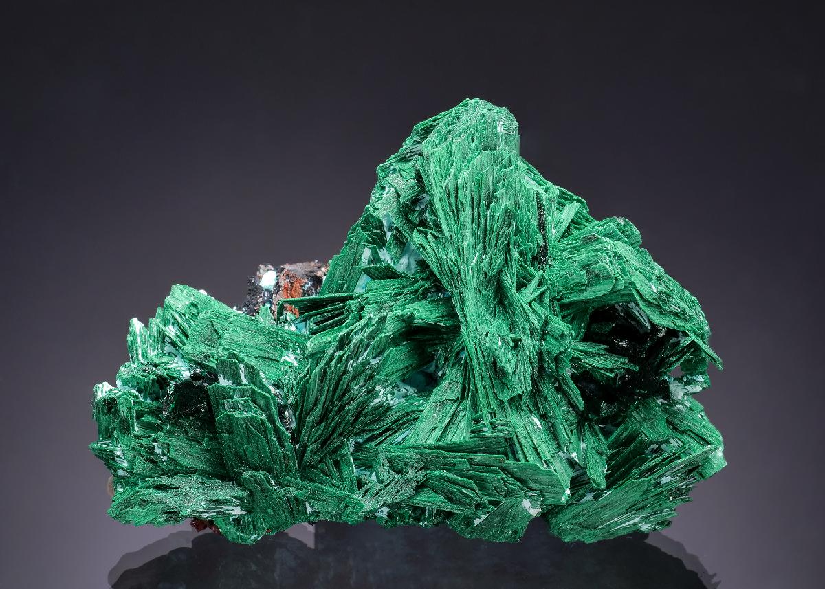 CC63279 specimen image