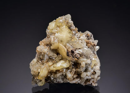 CC63282 specimen image