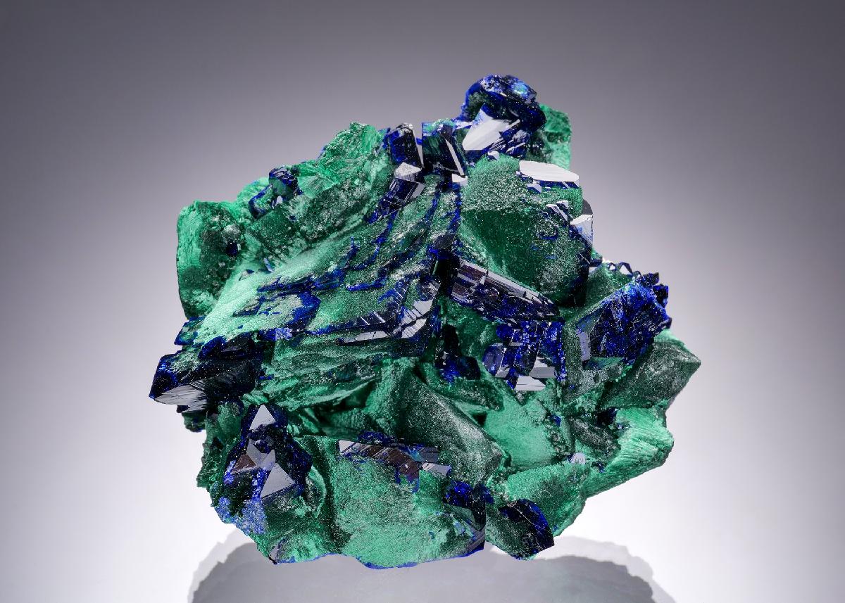 CC63285 specimen image