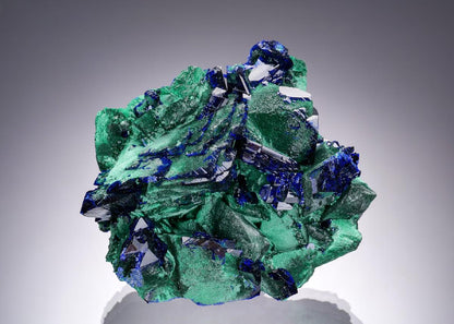 CC63285 specimen image