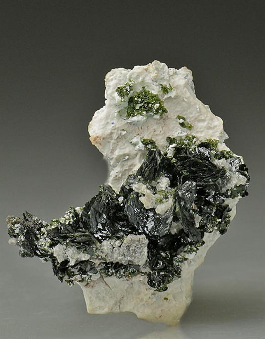 CC6330 specimen image
