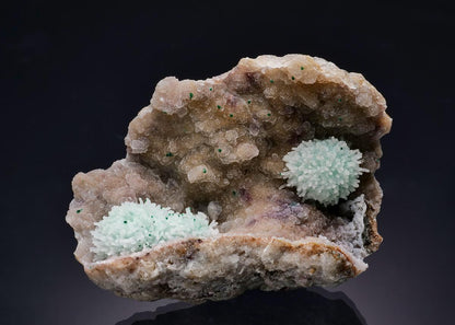 CC63306 specimen image