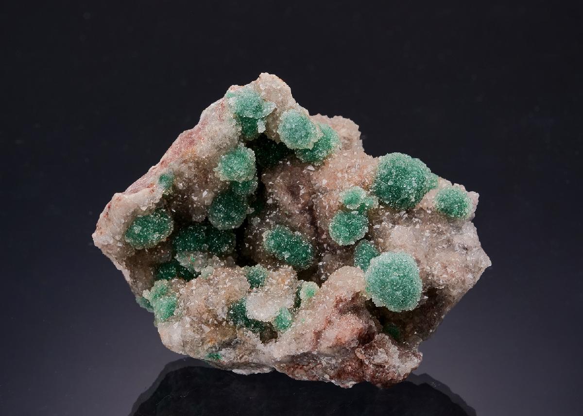 CC63324 specimen image